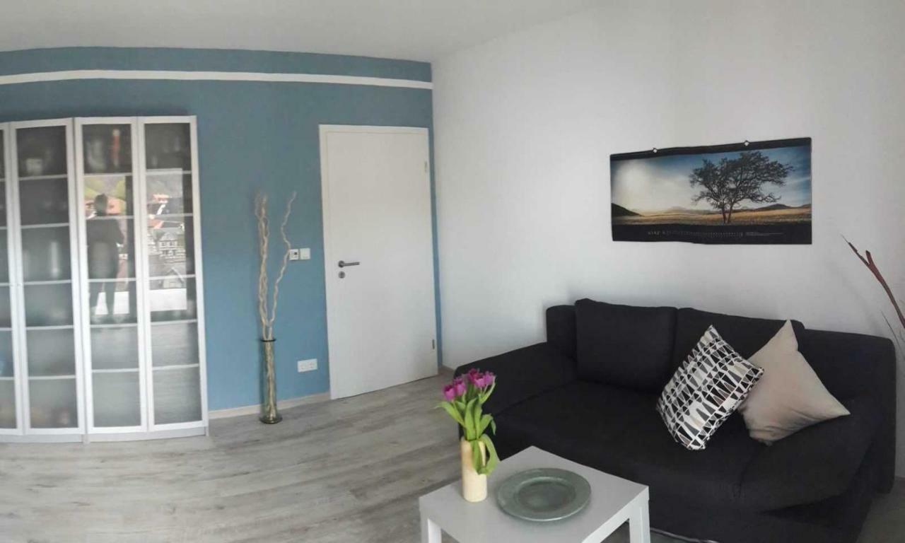 Ferienwohnung Casa Rossa ネッカーシュタイナハ エクステリア 写真